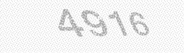 Visual security code — type the characters shown in the image